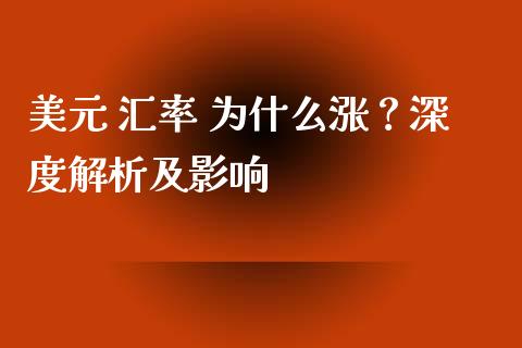 美元 汇率 为什么涨？深度解析及影响_https://cj007.lansai.wang_外汇交易_第1张
