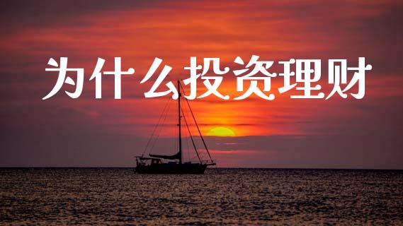 为什么投资理财_https://cj007.lansai.wang_债券资讯_第1张
