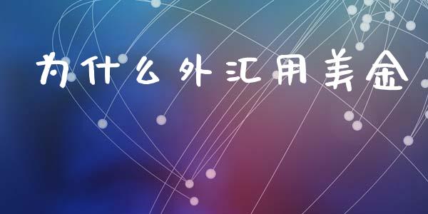 为什么外汇用美金_https://cj007.lansai.wang_债券资讯_第1张