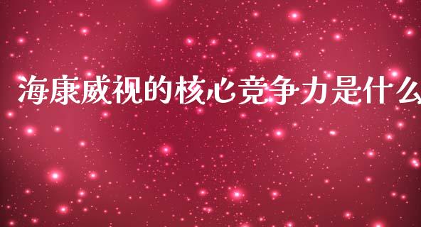 海康威视的核心竞争力是什么_https://cj007.lansai.wang_金融监管_第1张