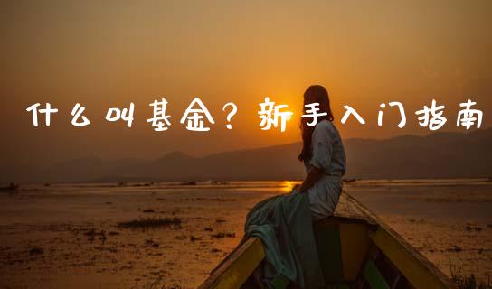 什么叫基金？新手入门指南_https://cj007.lansai.wang_金融监管_第1张