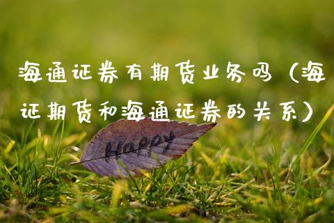 海通证券有期货业务吗（海证期货和海通证券的关系）_https://cj007.lansai.wang_期货开户_第1张