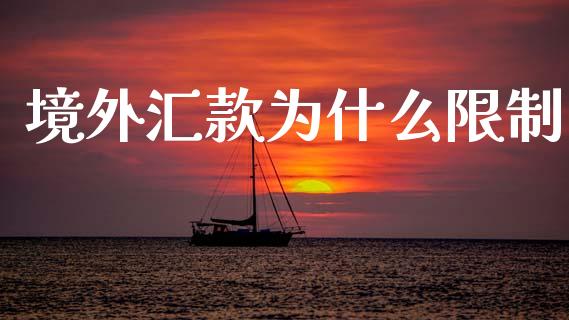 境外汇款为什么限制_https://cj007.lansai.wang_金融监管_第1张