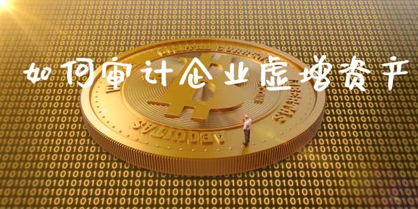 如何审计企业虚增资产_https://cj007.lansai.wang_财经新闻_第1张
