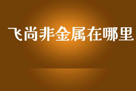 飞尚非金属在哪里_https://cj007.lansai.wang_财经新闻_第1张