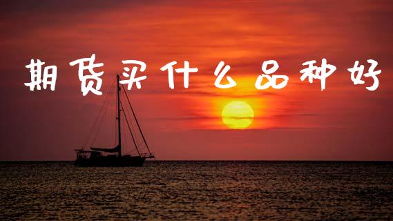期货买什么品种好_https://cj007.lansai.wang_期货开户_第1张