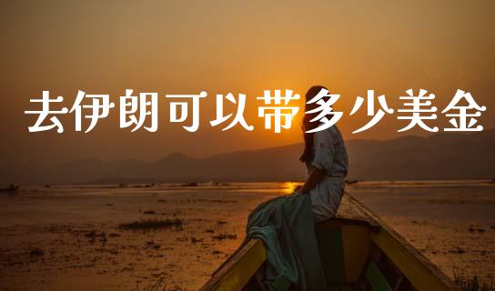 去伊朗可以带多少美金_https://cj007.lansai.wang_全球市场_第1张