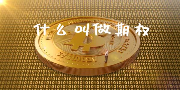 什么叫做期权_https://cj007.lansai.wang_全球市场_第1张