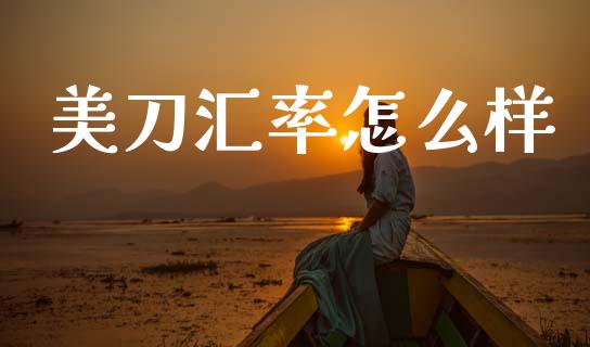美刀汇率怎么样_https://cj007.lansai.wang_财经新闻_第1张