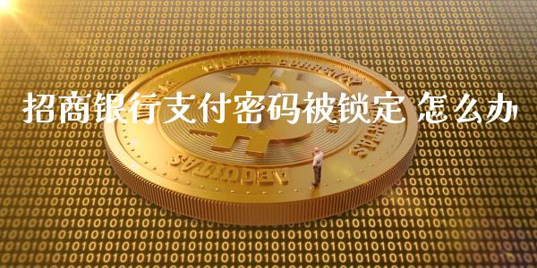 招商银行支付密码被锁定 怎么办_https://cj007.lansai.wang_债券资讯_第1张