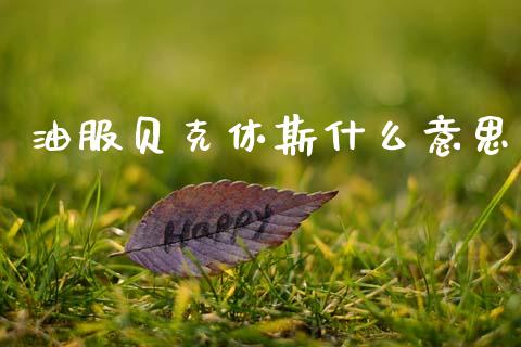 油服贝克休斯什么意思_https://cj007.lansai.wang_外汇交易_第1张