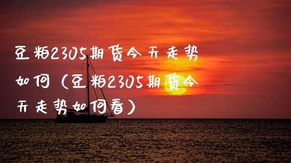 豆粕2305期货今天走势如何（豆粕2305期货今天走势如何看）_https://cj007.lansai.wang_财经新闻_第1张