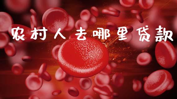 农村人去哪里贷款_https://cj007.lansai.wang_债券资讯_第1张