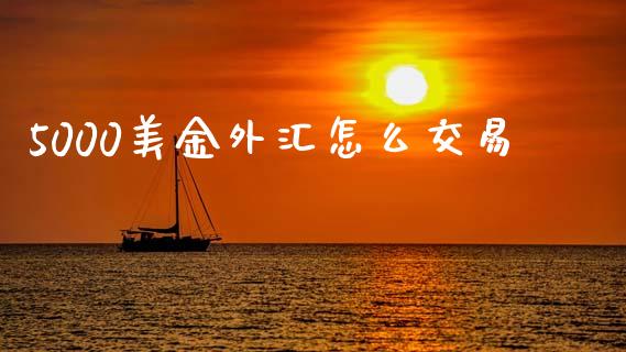 5000美金外汇怎么交易_https://cj007.lansai.wang_债券资讯_第1张