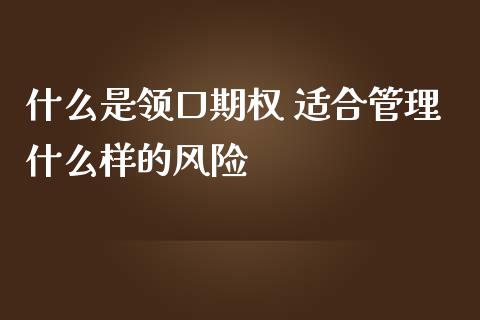 什么是领口期权 适合管理什么样的风险_https://cj007.lansai.wang_财经新闻_第1张