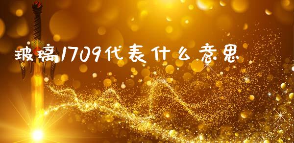 玻璃1709代表什么意思_https://cj007.lansai.wang_债券资讯_第1张