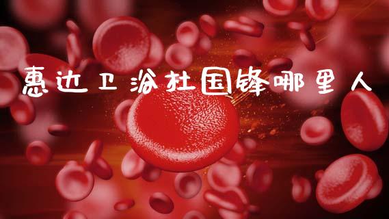 惠达卫浴杜国锋哪里人_https://cj007.lansai.wang_金融监管_第1张
