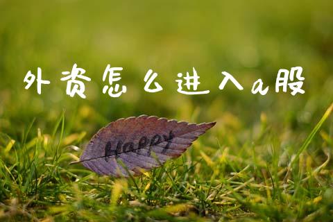 外资怎么进入a股_https://cj007.lansai.wang_期货开户_第1张