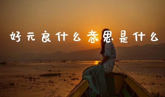 好元良什么意思是什么_https://cj007.lansai.wang_财经新闻_第1张