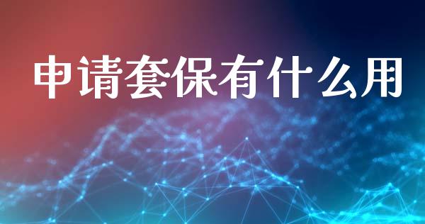 申请套保有什么用_https://cj007.lansai.wang_金融监管_第1张