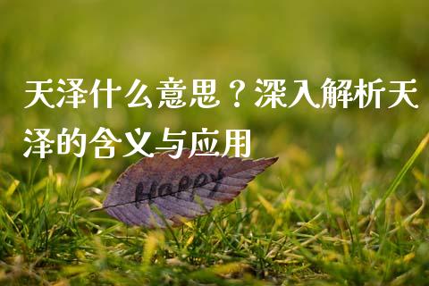 天泽什么意思？深入解析天泽的含义与应用_https://cj007.lansai.wang_金融监管_第1张