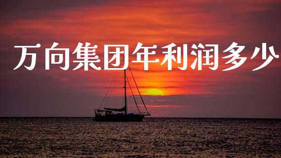万向集团年利润多少_https://cj007.lansai.wang_金融监管_第1张