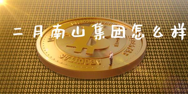 二月南山集团怎么样_https://cj007.lansai.wang_期货开户_第1张