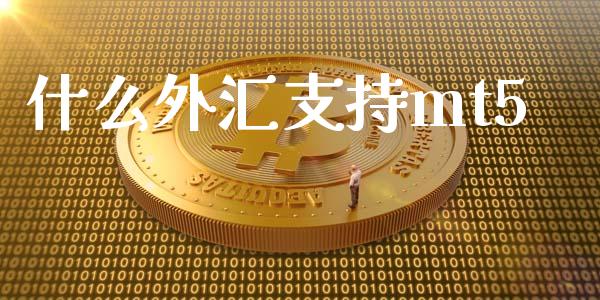 什么外汇支持mt5_https://cj007.lansai.wang_财经新闻_第1张