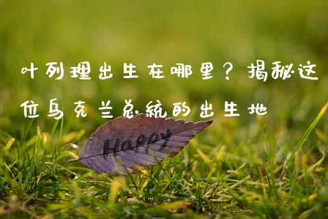 叶列理出生在哪里？揭秘这位乌克兰总统的出生地_https://cj007.lansai.wang_财经新闻_第1张