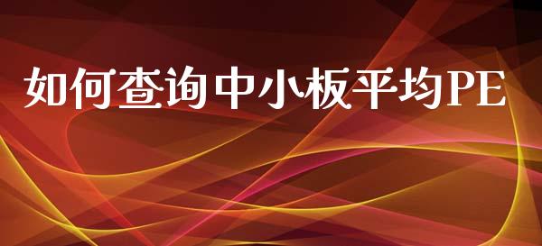 如何查询中小板平均PE_https://cj007.lansai.wang_全球市场_第1张