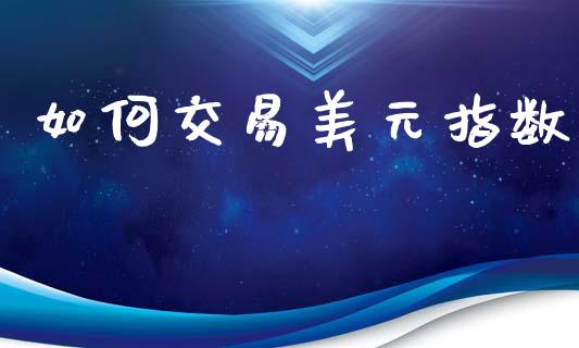 如何交易美元指数_https://cj007.lansai.wang_金融监管_第1张