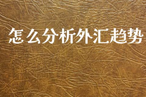 怎么分析外汇趋势_https://cj007.lansai.wang_金融监管_第1张