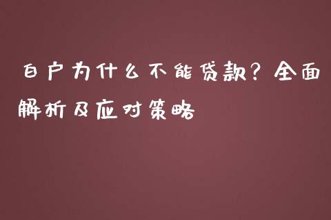 白户为什么不能贷款？全面解析及应对策略_https://cj007.lansai.wang_金融监管_第1张