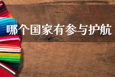 哪个国家有参与护航_https://cj007.lansai.wang_金融监管_第1张