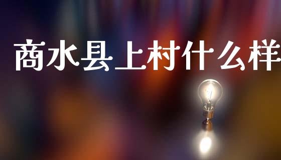 商水县上村什么样_https://cj007.lansai.wang_债券资讯_第1张