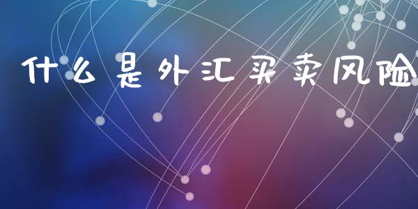什么是外汇买卖风险_https://cj007.lansai.wang_金融监管_第1张