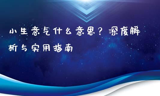 小生意气什么意思？深度解析与实用指南_https://cj007.lansai.wang_金融监管_第1张