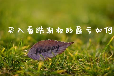 买入看跌期权的盈亏如何_https://cj007.lansai.wang_财经新闻_第1张