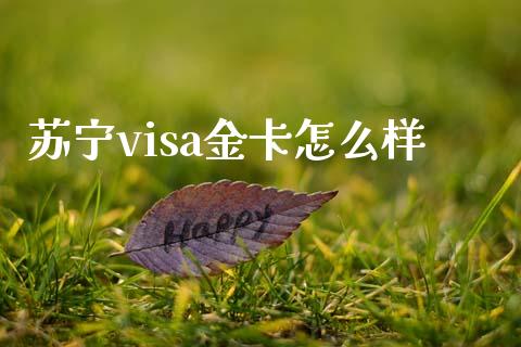 苏宁visa金卡怎么样_https://cj007.lansai.wang_金融监管_第1张