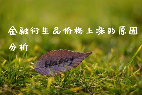 金融衍生品价格上涨的原因分析_https://cj007.lansai.wang_期货开户_第1张