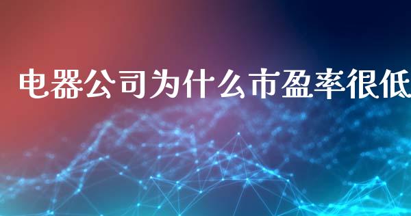电器公司为什么市盈率很低_https://cj007.lansai.wang_债券资讯_第1张