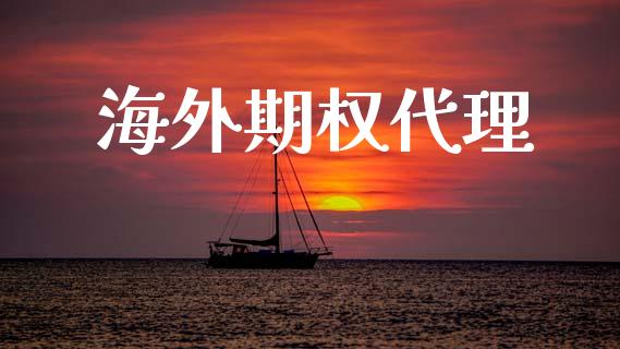 海外期权代理_https://cj007.lansai.wang_金融监管_第1张