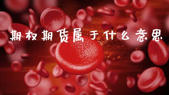 期权期货属于什么意思_https://cj007.lansai.wang_债券资讯_第1张