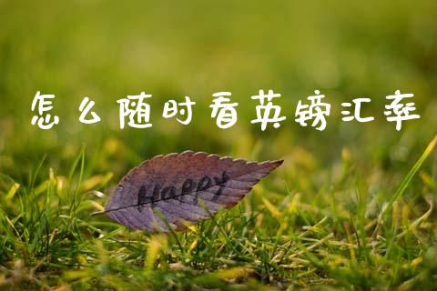 怎么随时看英镑汇率_https://cj007.lansai.wang_财经新闻_第1张