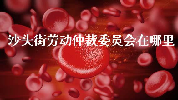 沙头街劳动仲裁委员会在哪里_https://cj007.lansai.wang_财经新闻_第1张