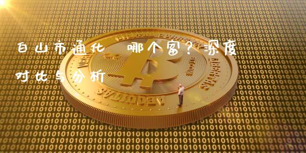 白山市通化巿哪个富？深度对比与分析_https://cj007.lansai.wang_外汇交易_第1张