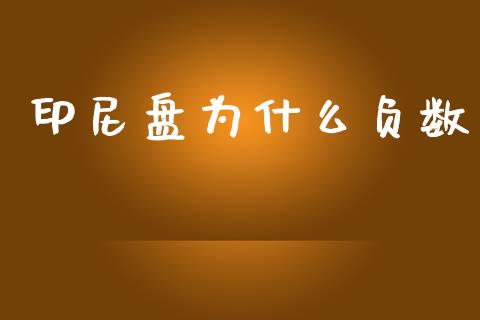 印尼盘为什么负数_https://cj007.lansai.wang_金融监管_第1张