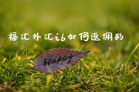 福汇外汇ib如何返佣的_https://cj007.lansai.wang_期货开户_第1张