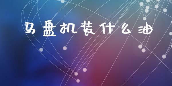 马盘机装什么油_https://cj007.lansai.wang_全球市场_第1张
