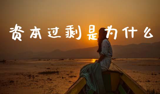 资本过剩是为什么_https://cj007.lansai.wang_财经新闻_第1张